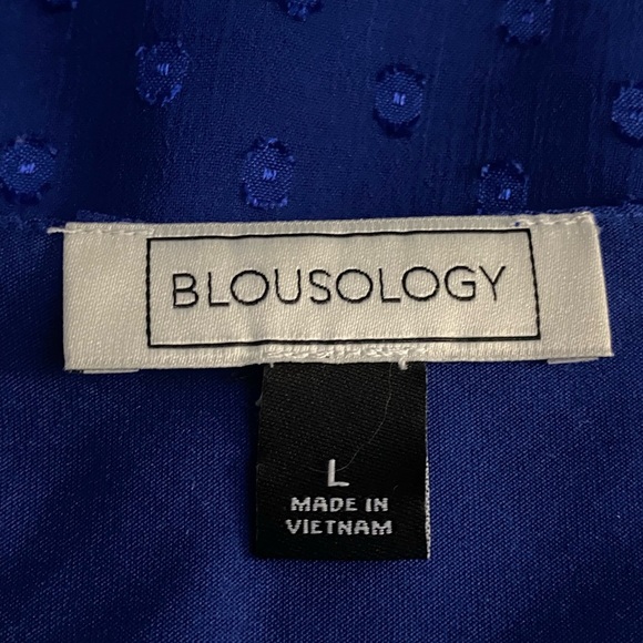 Blousology Blouse Sheer Tie Sleeve Smocked Hem Royal Blue Relaxed Fit Size L - Picture 5 of 8